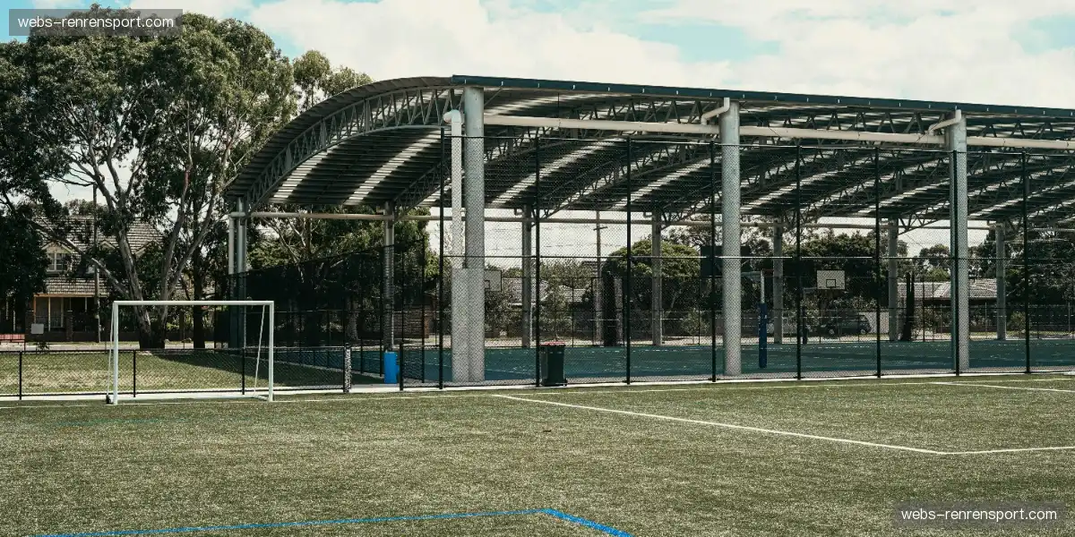 🔥 暴雨中点球决胜,门将扑出关键点球,绝杀时刻震撼心灵。🌧️🧤